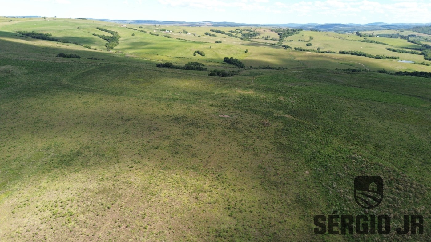 Fazenda, 26 hectares - Foto 34