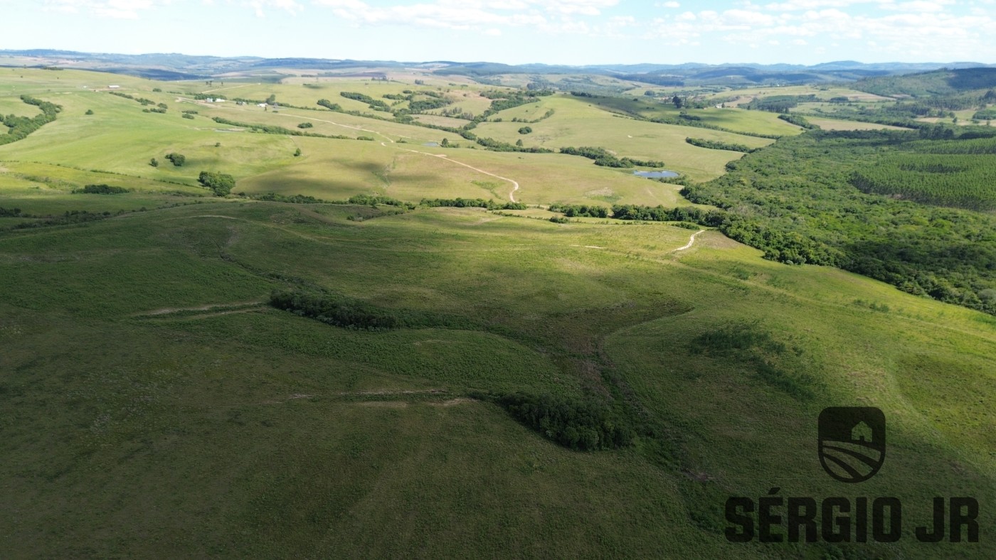 Fazenda, 26 hectares - Foto 35
