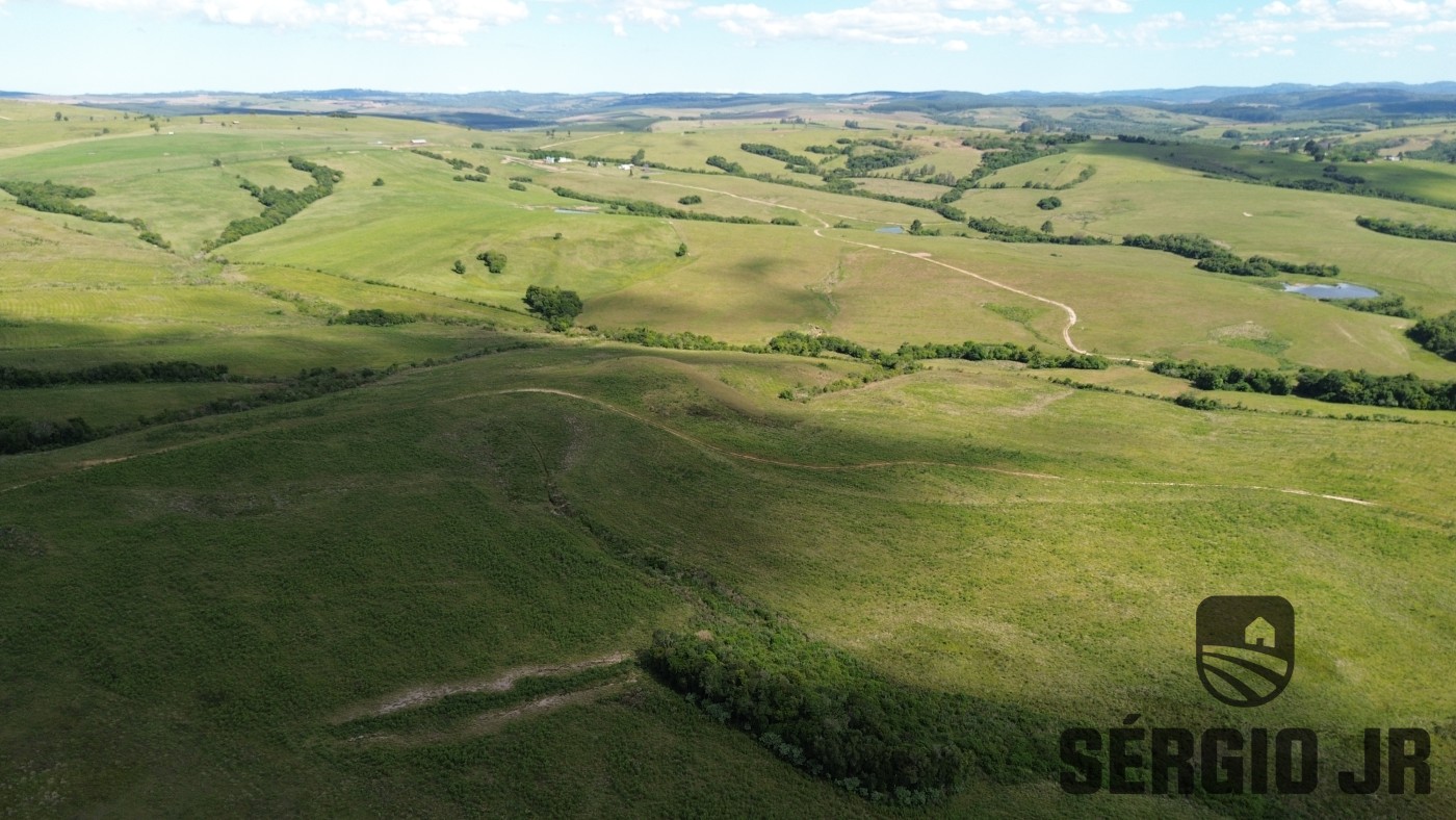 Fazenda, 26 hectares - Foto 36