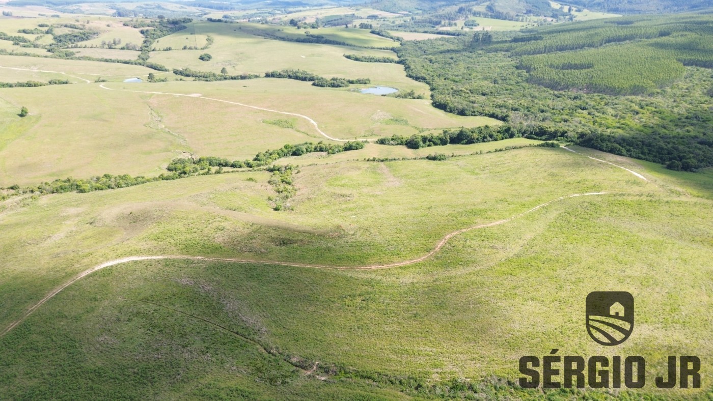 Fazenda, 26 hectares - Foto 37