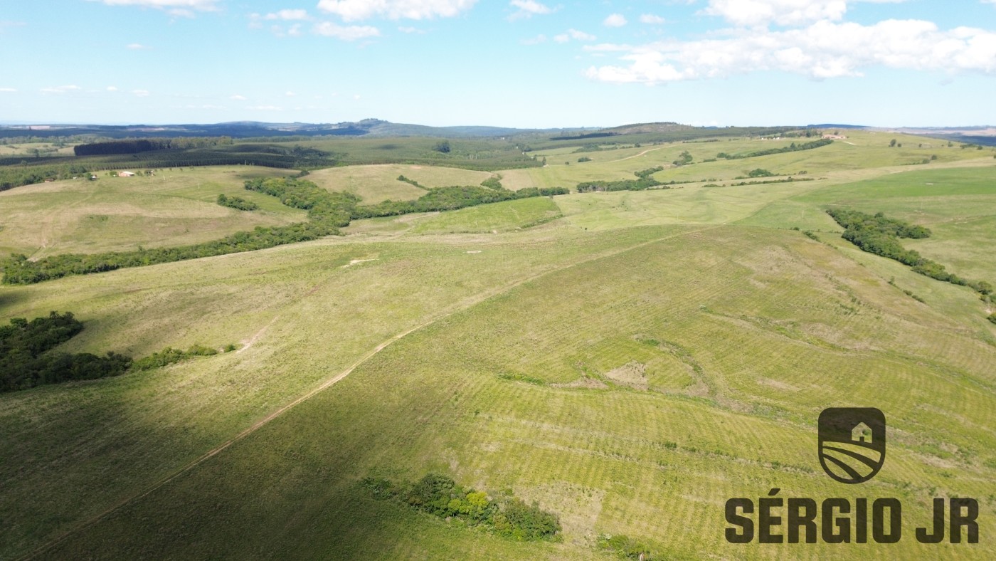 Fazenda, 26 hectares - Foto 38