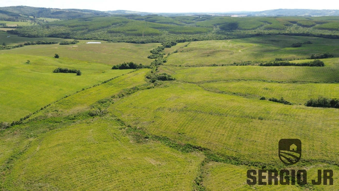 Fazenda, 26 hectares - Foto 39