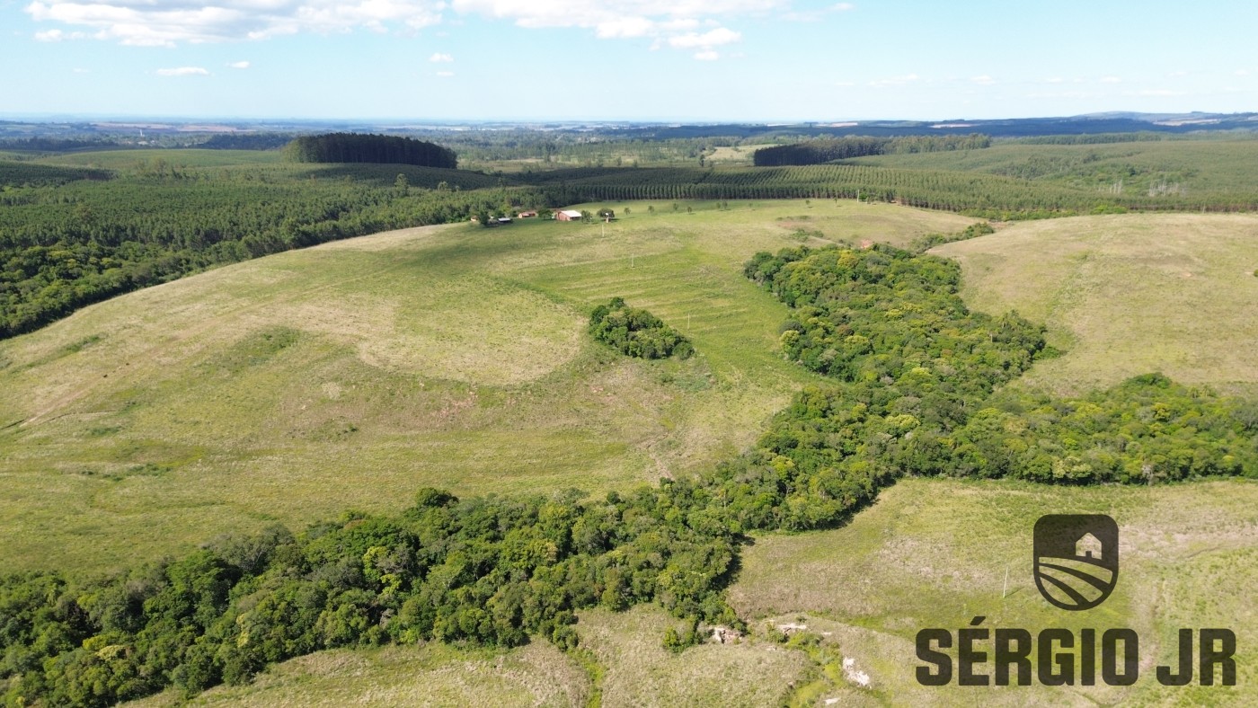 Fazenda, 26 hectares - Foto 40