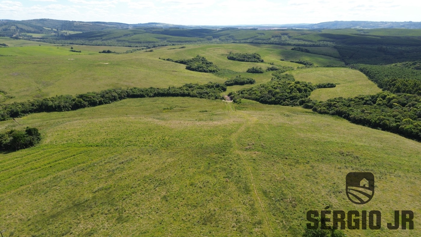 Fazenda, 26 hectares - Foto 44