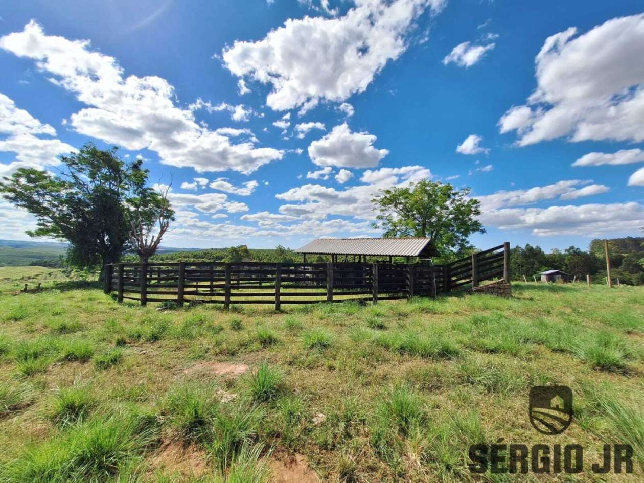 Fazenda, 26 hectares - Foto 47