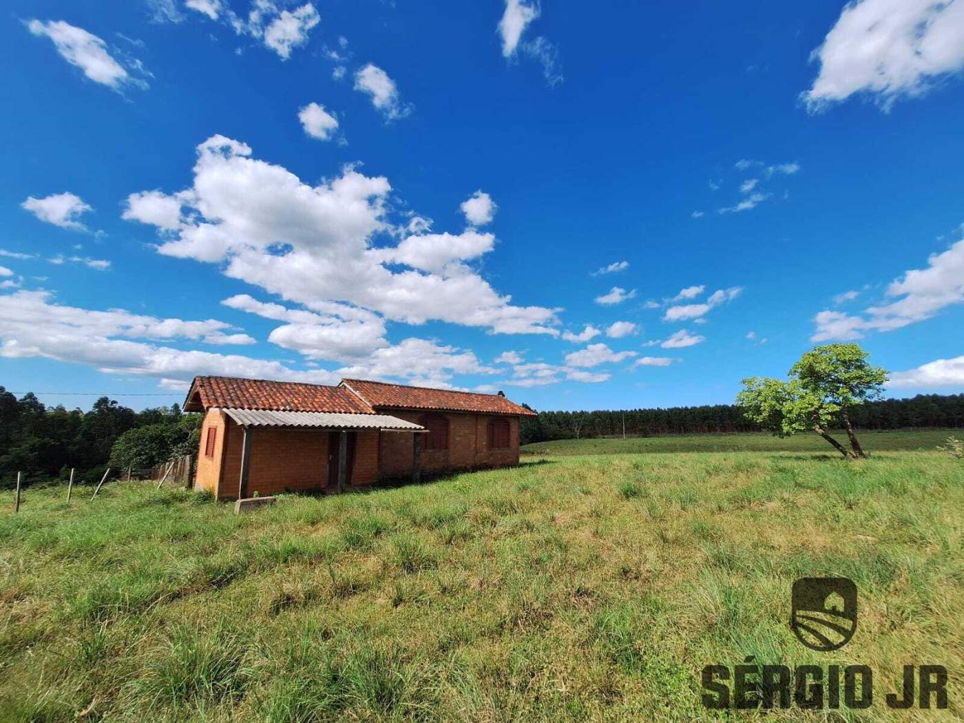 Fazenda, 26 hectares - Foto 49