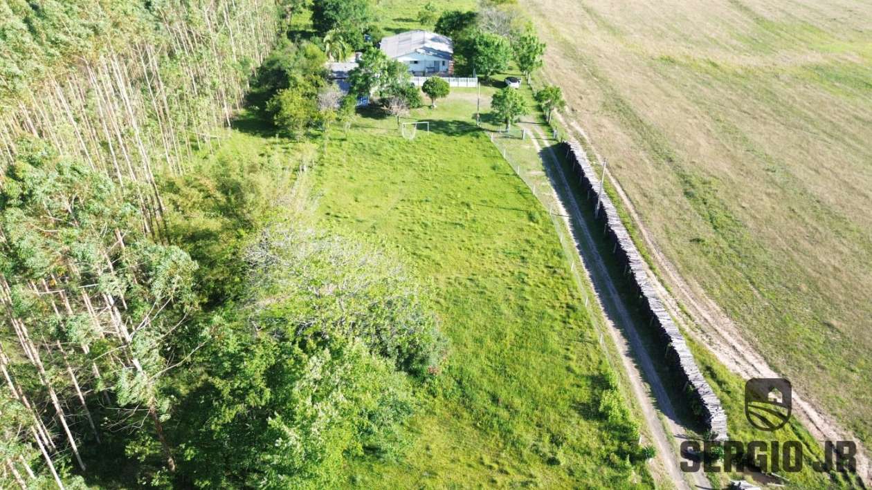 Chácara, 4 quartos, 1 hectares - Foto 5