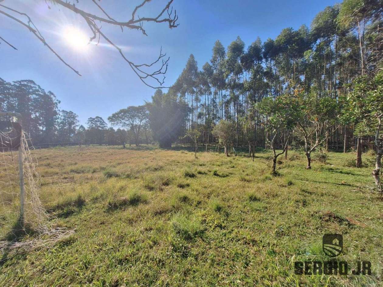 Chácara, 3 quartos, 1 hectares - Foto 23