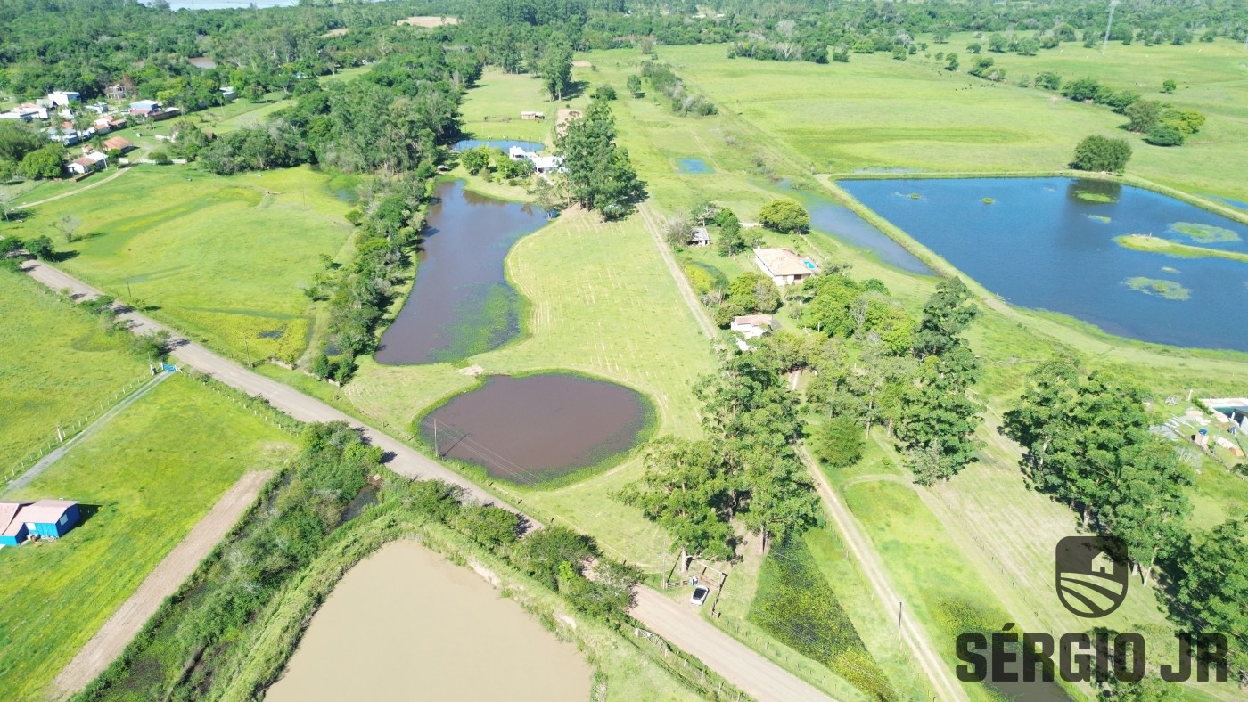Chácara, 3 quartos, 6 hectares - Foto 3