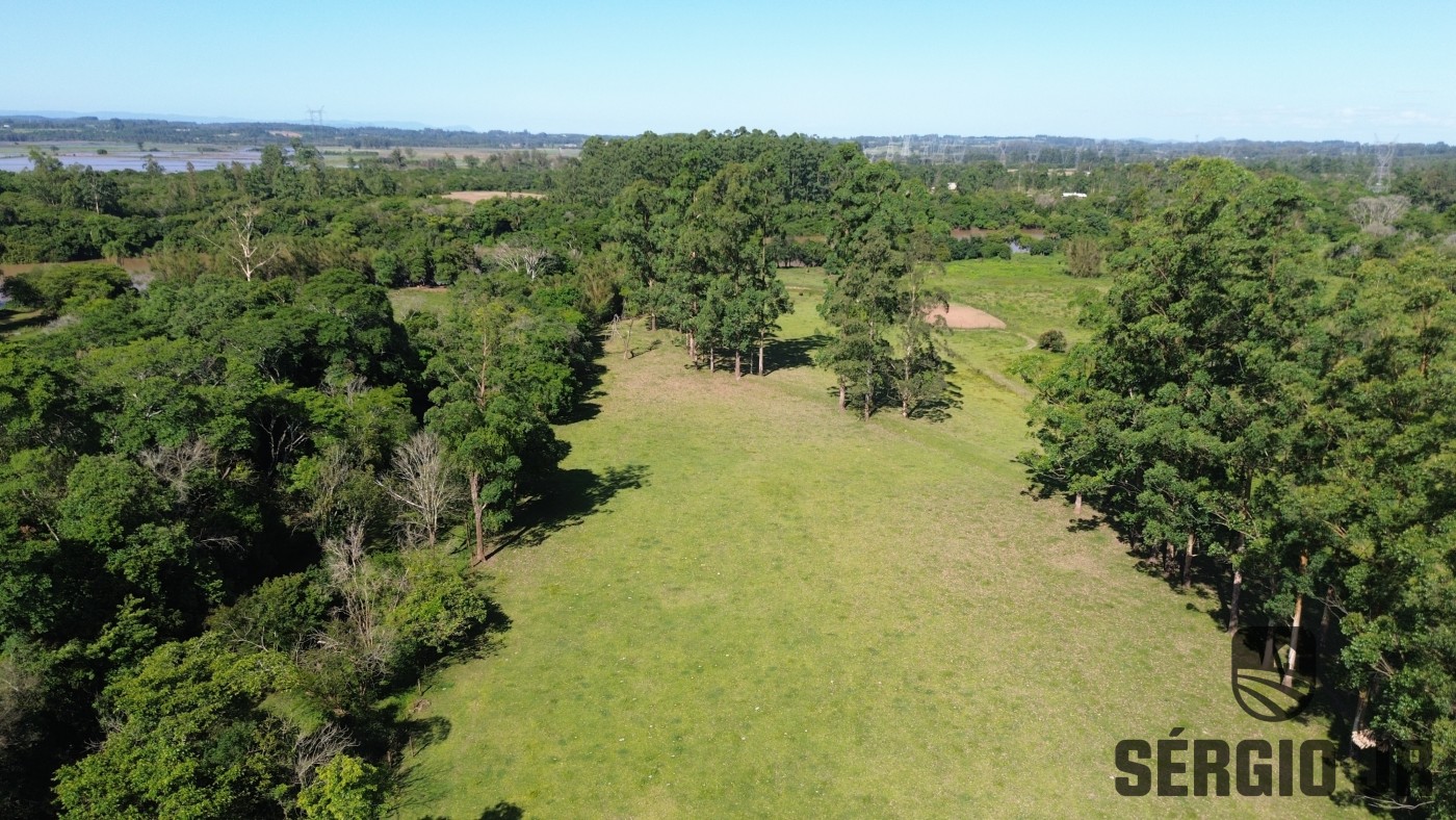 Chácara, 3 quartos, 6 hectares - Foto 4