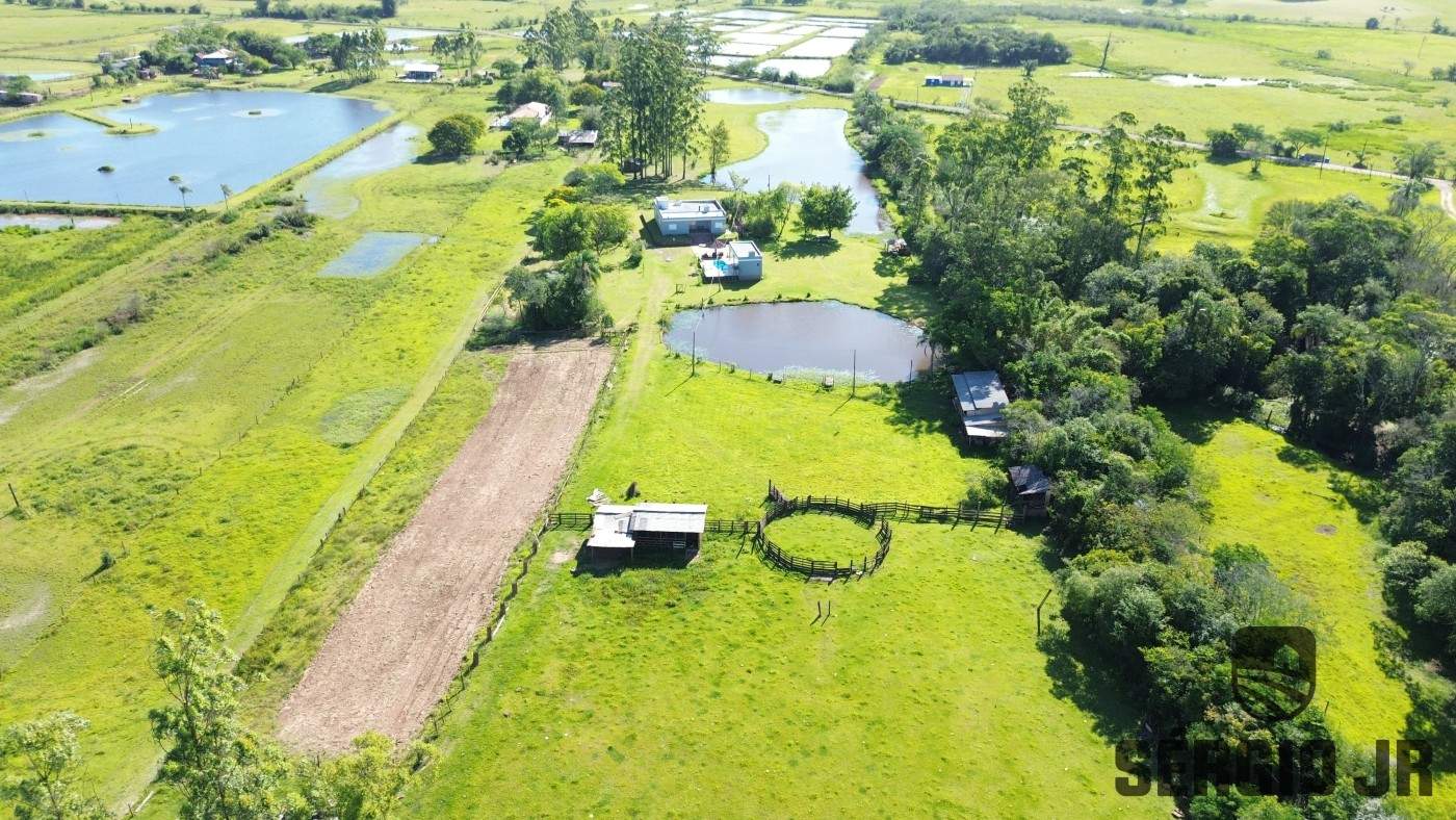 Chácara, 3 quartos, 6 hectares - Foto 15