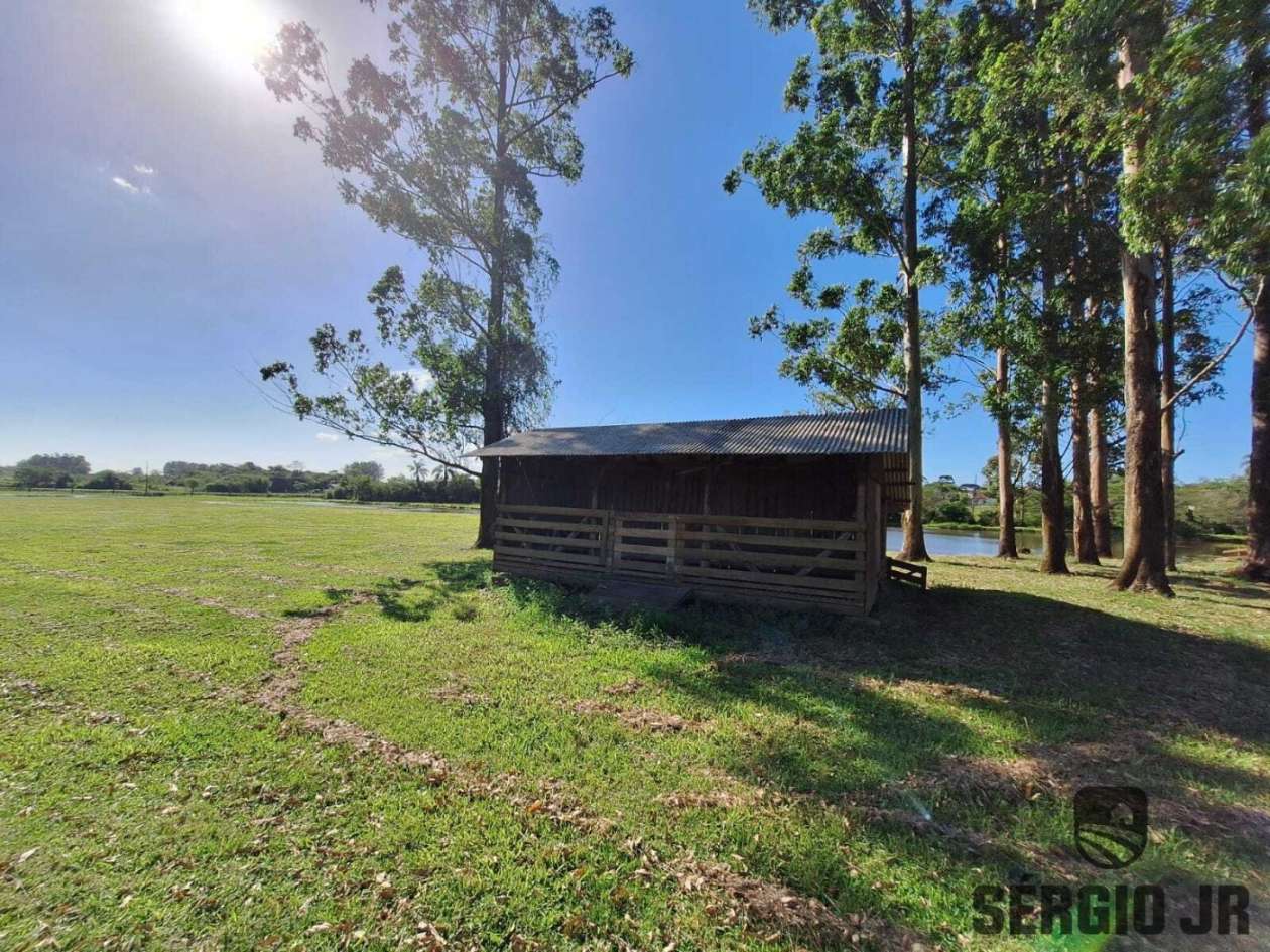 Chácara, 3 quartos, 6 hectares - Foto 19