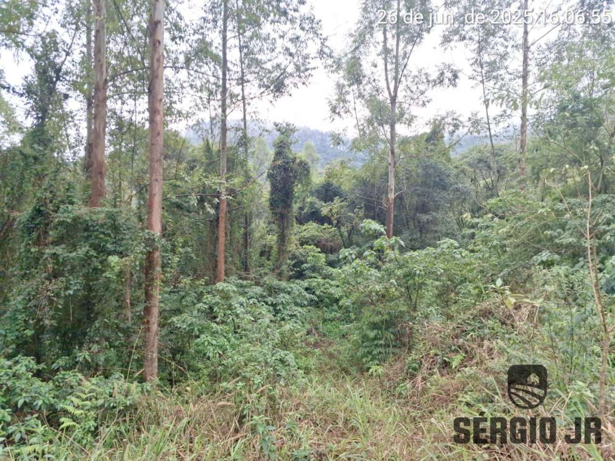 Loteamento e Condomínio, 21 hectares - Foto 3