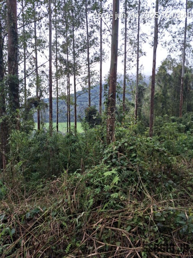 Loteamento e Condomínio, 21 hectares - Foto 4