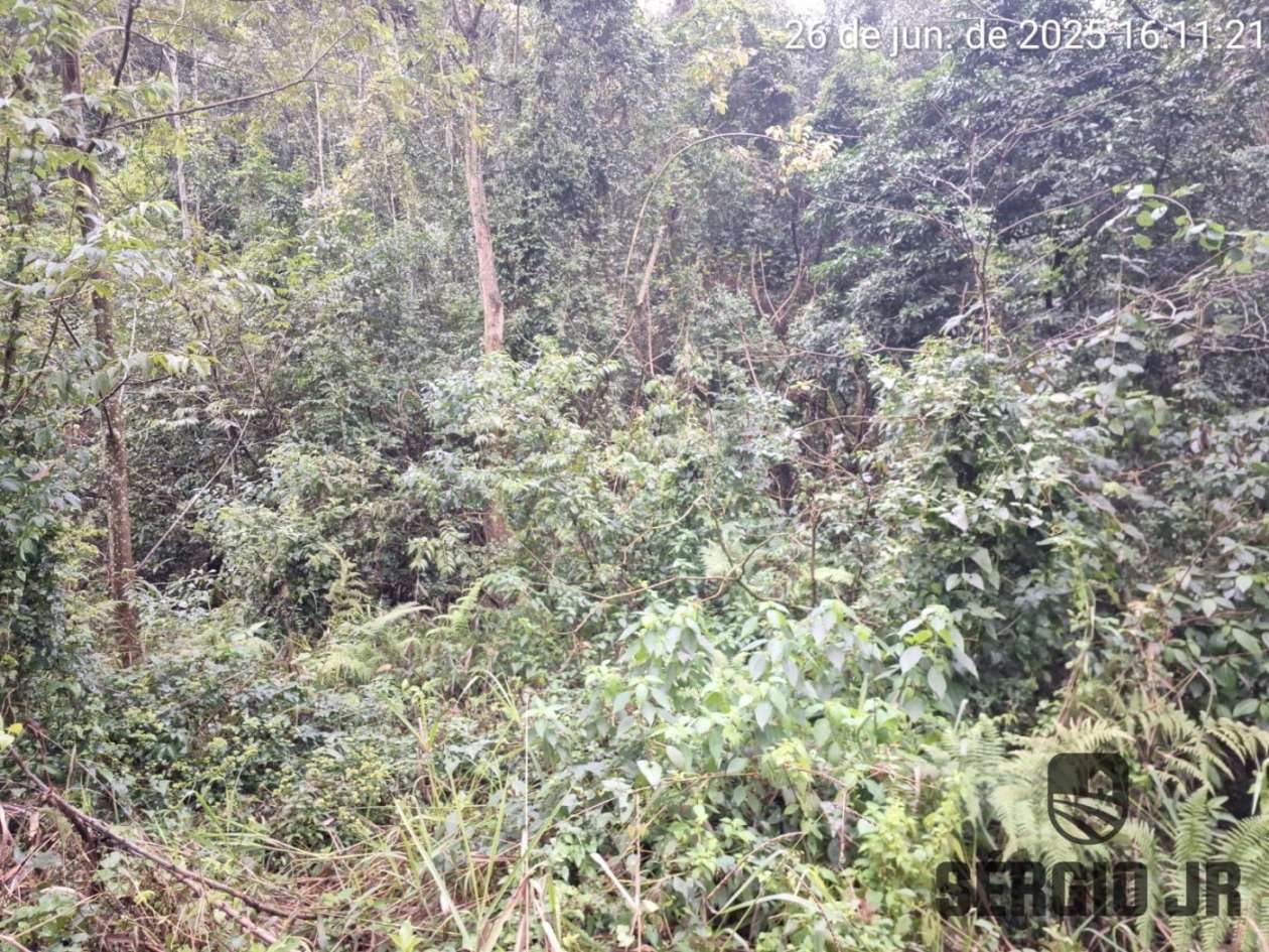 Loteamento e Condomínio, 21 hectares - Foto 6