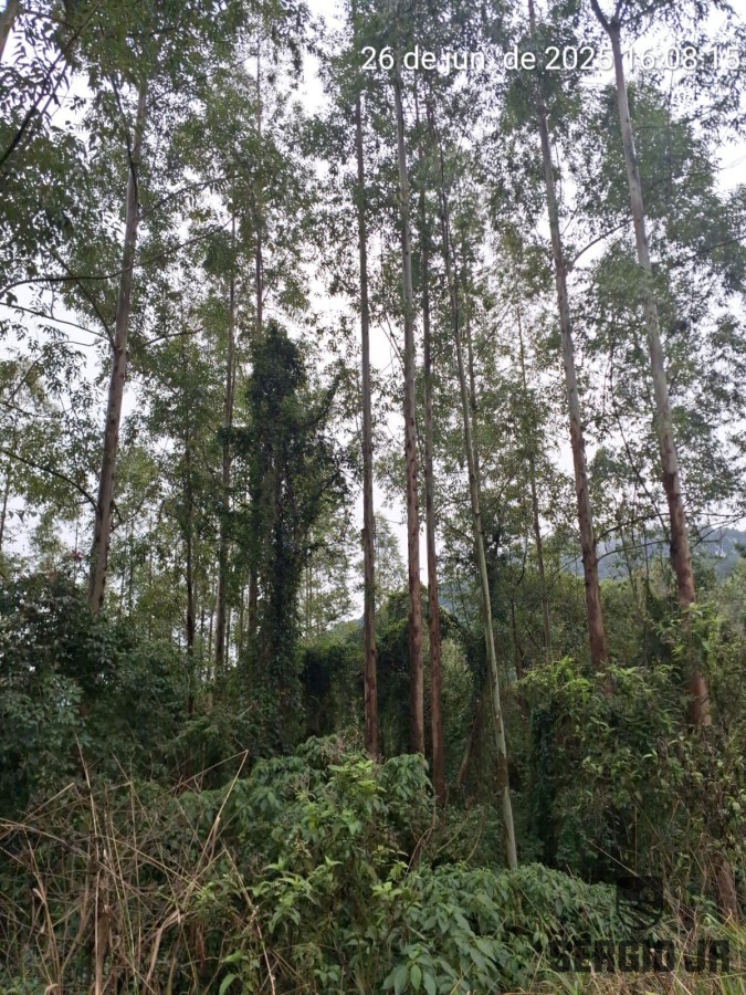 Loteamento e Condomínio, 21 hectares - Foto 1