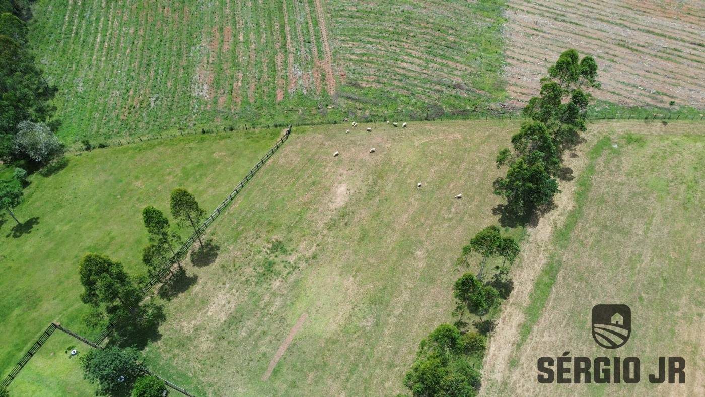 Chácara, 3 quartos, 2 hectares - Foto 4