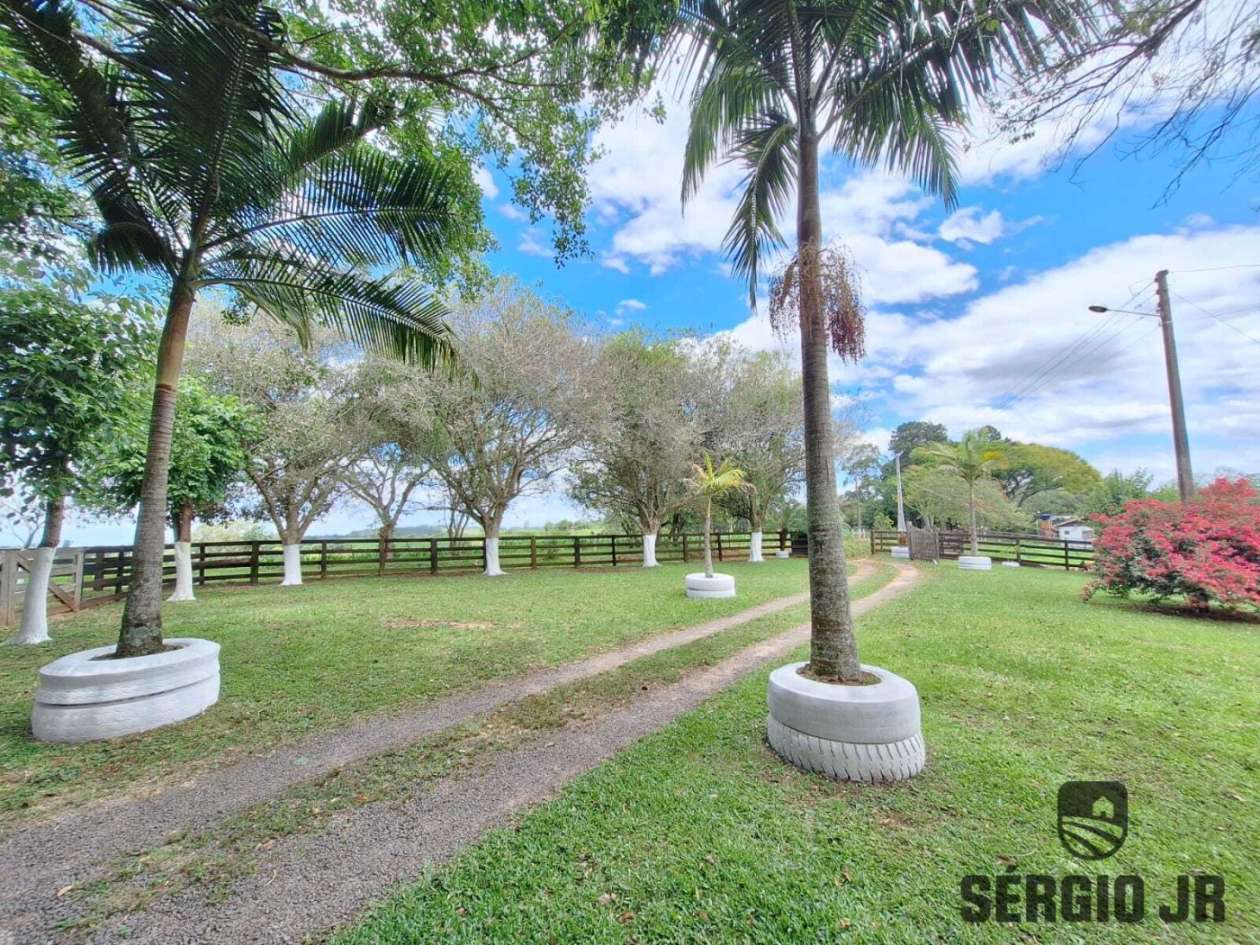 Chácara, 3 quartos, 2 hectares - Foto 23