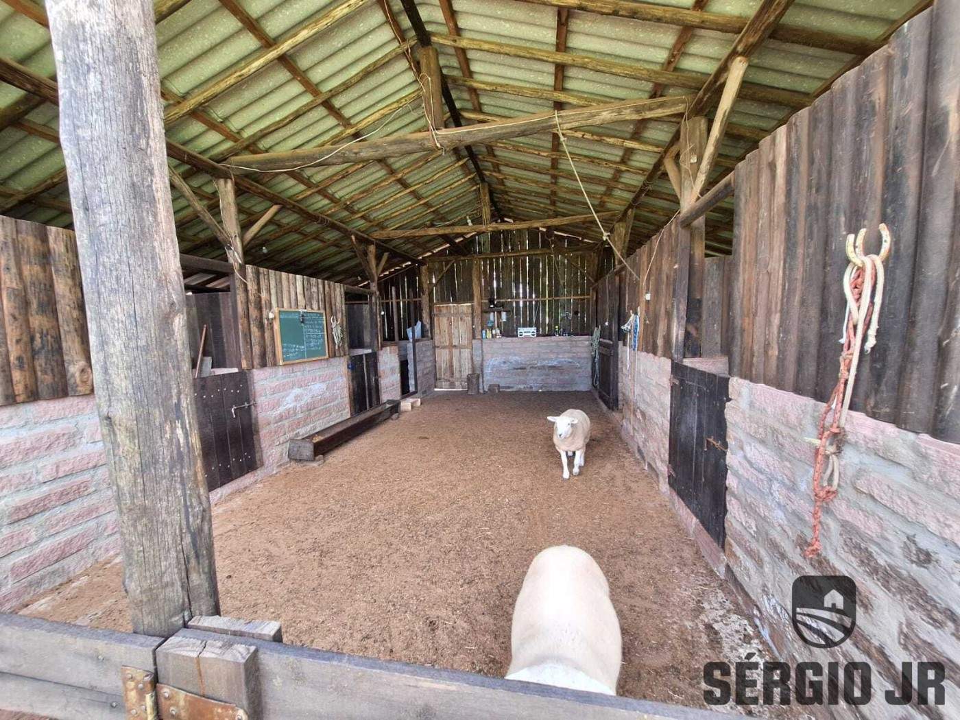 Chácara, 3 quartos, 2 hectares - Foto 28