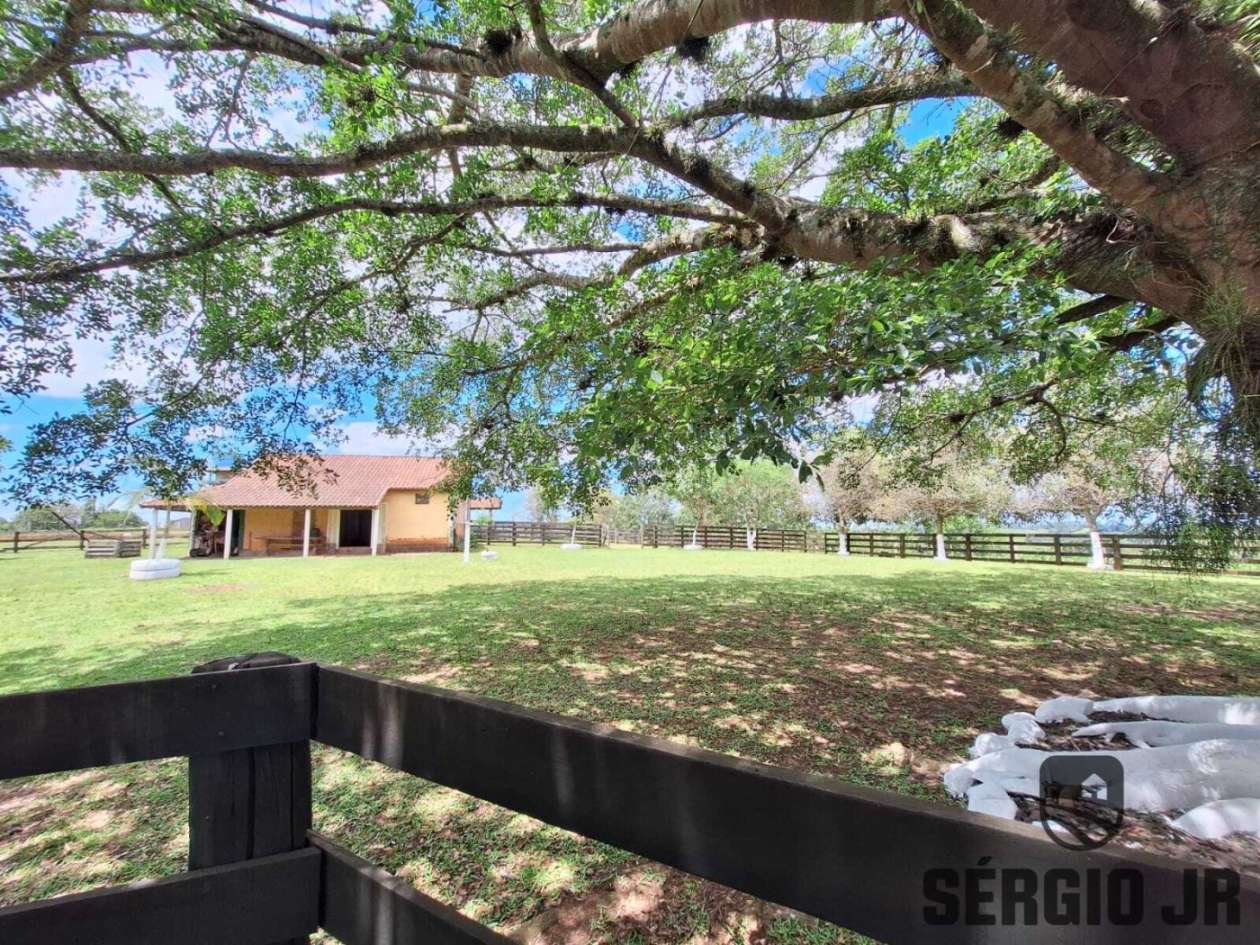 Chácara, 3 quartos, 2 hectares - Foto 30