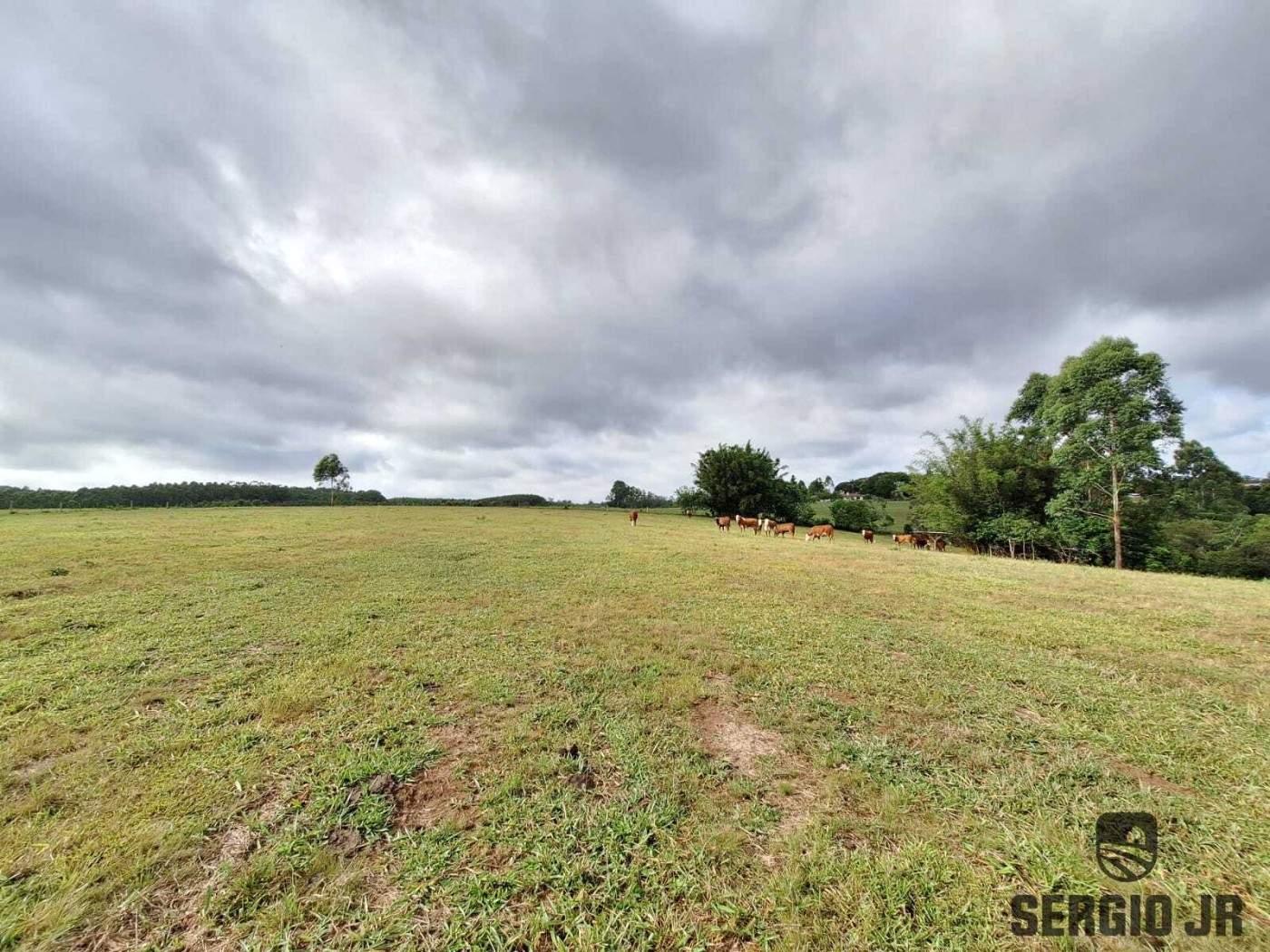 Loteamento e Condomínio, 7 hectares - Foto 3