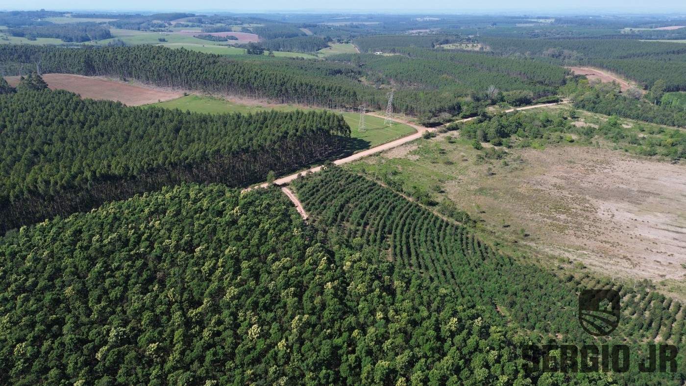 Loteamento e Condomínio, 30 hectares - Foto 3