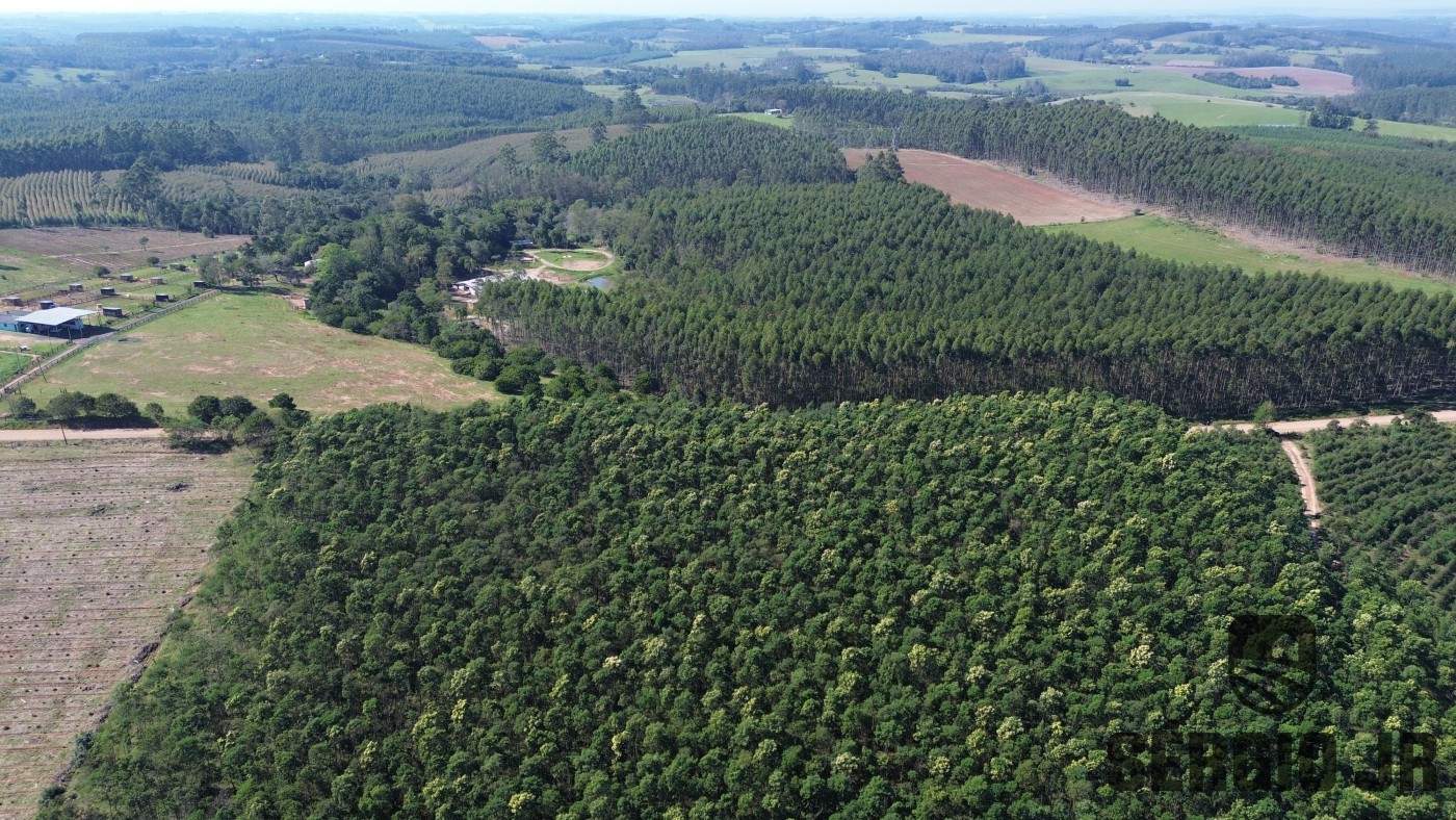Loteamento e Condomínio, 30 hectares - Foto 4