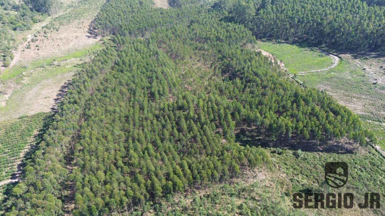 Loteamento e Condomínio, 30 hectares - Foto 5