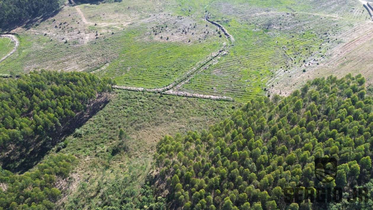 Loteamento e Condomínio, 30 hectares - Foto 6