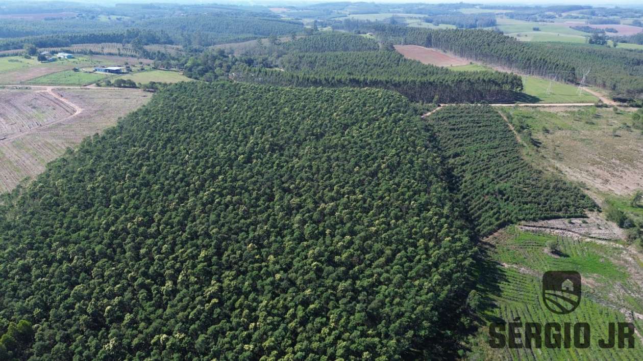 Loteamento e Condomínio, 30 hectares - Foto 7