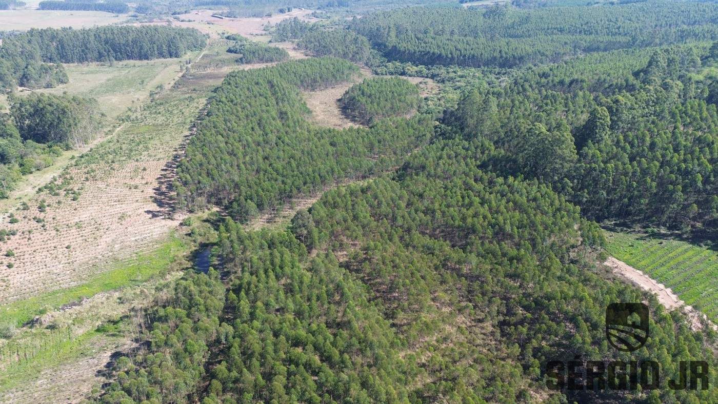 Loteamento e Condomínio, 30 hectares - Foto 8