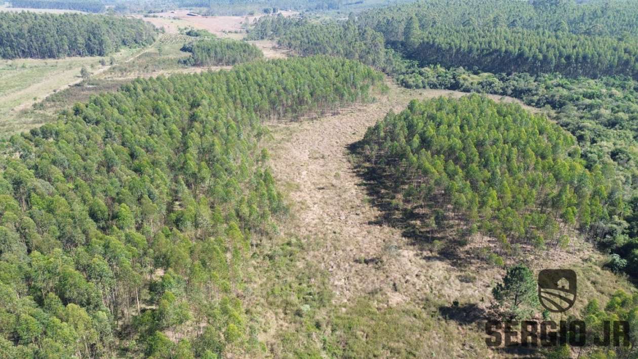 Loteamento e Condomínio, 30 hectares - Foto 9