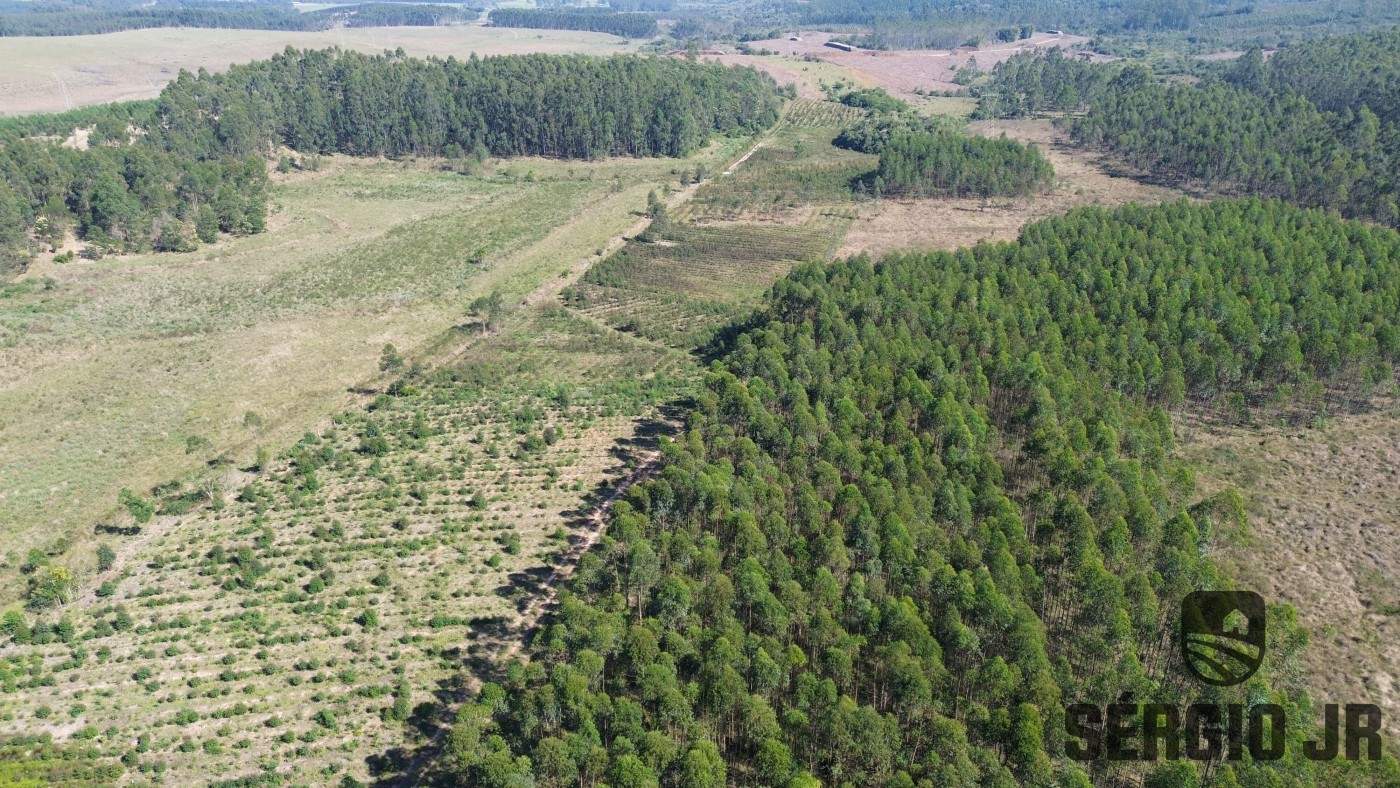 Loteamento e Condomínio, 30 hectares - Foto 10