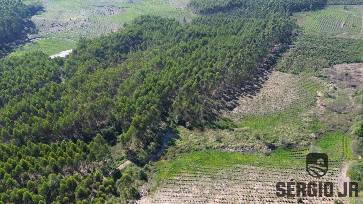 Loteamento e Condomínio, 30 hectares - Foto 11
