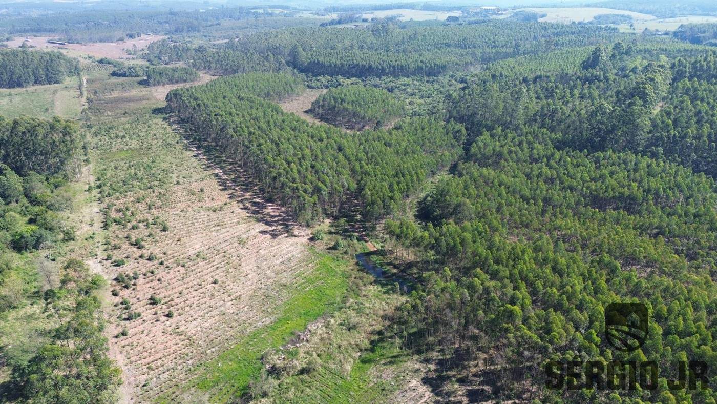 Loteamento e Condomínio, 30 hectares - Foto 12