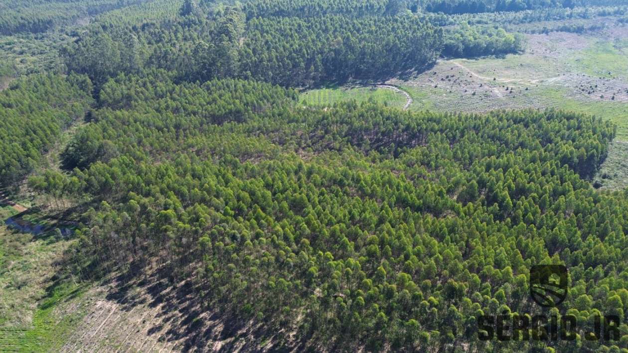 Loteamento e Condomínio, 30 hectares - Foto 13