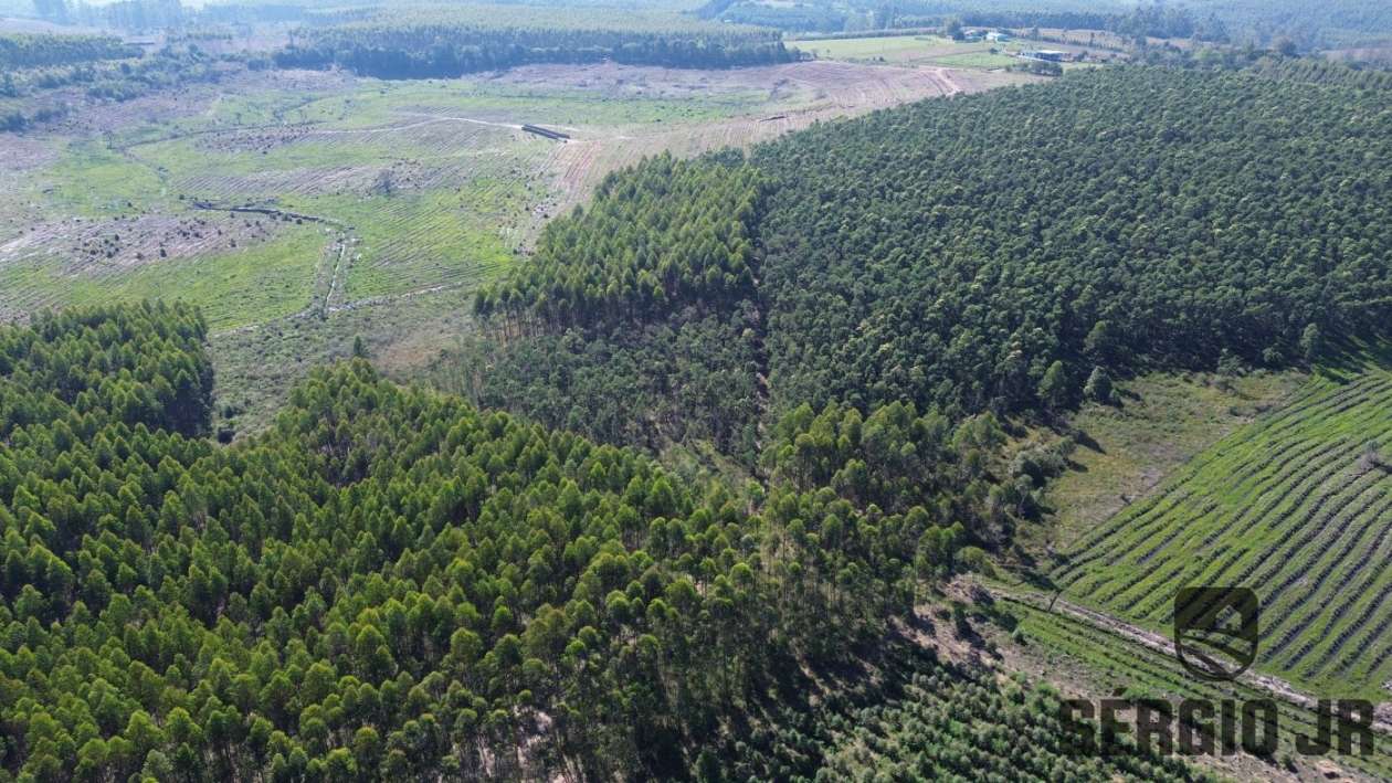 Loteamento e Condomínio, 30 hectares - Foto 14