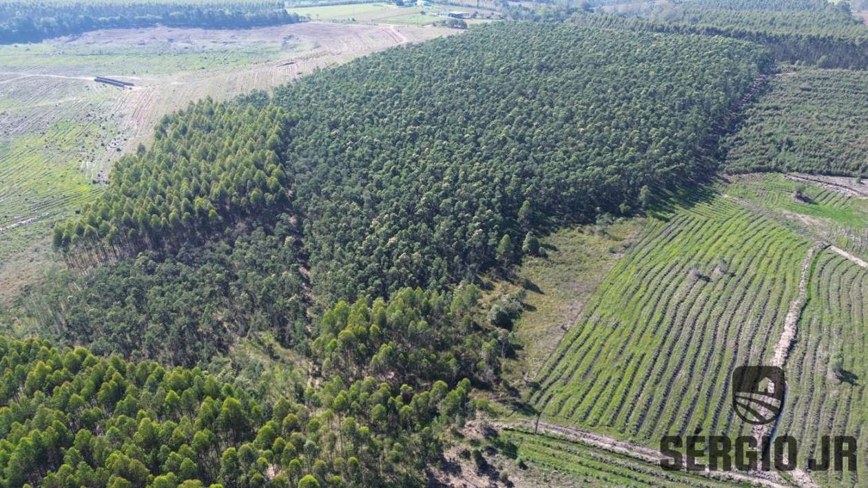 Loteamento e Condomínio, 30 hectares - Foto 15