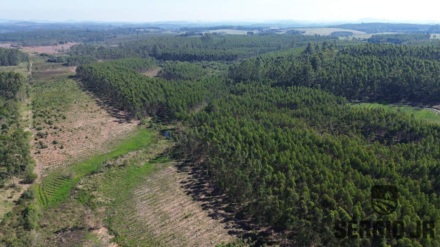 Loteamento e Condomínio, 30 hectares - Foto 16