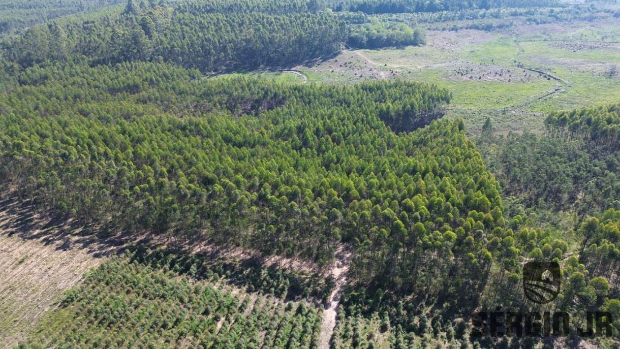 Loteamento e Condomínio, 30 hectares - Foto 17