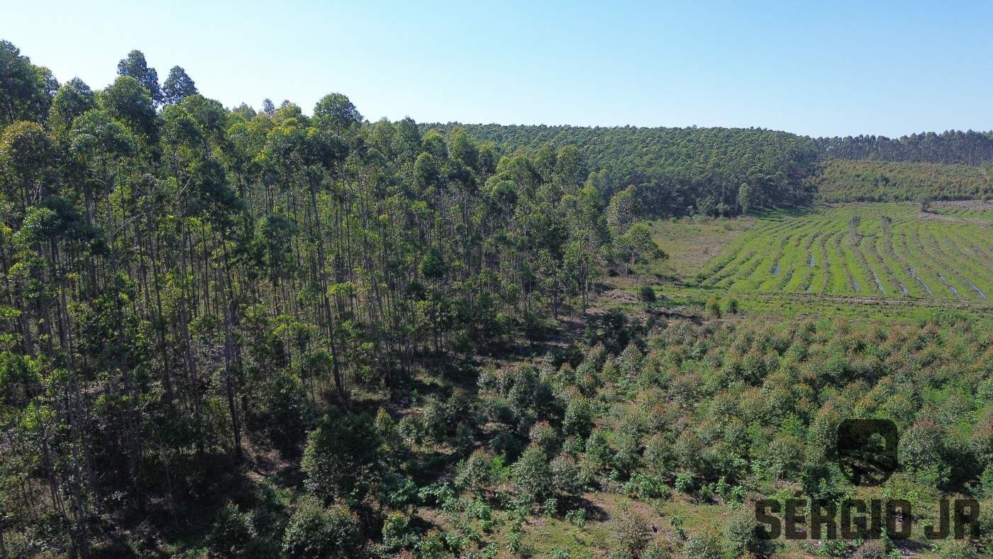Loteamento e Condomínio, 30 hectares - Foto 19
