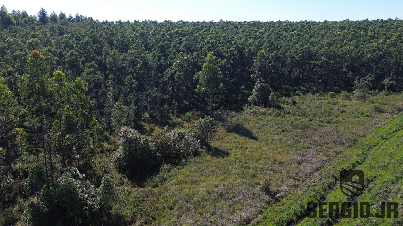 Loteamento e Condomínio, 30 hectares - Foto 20