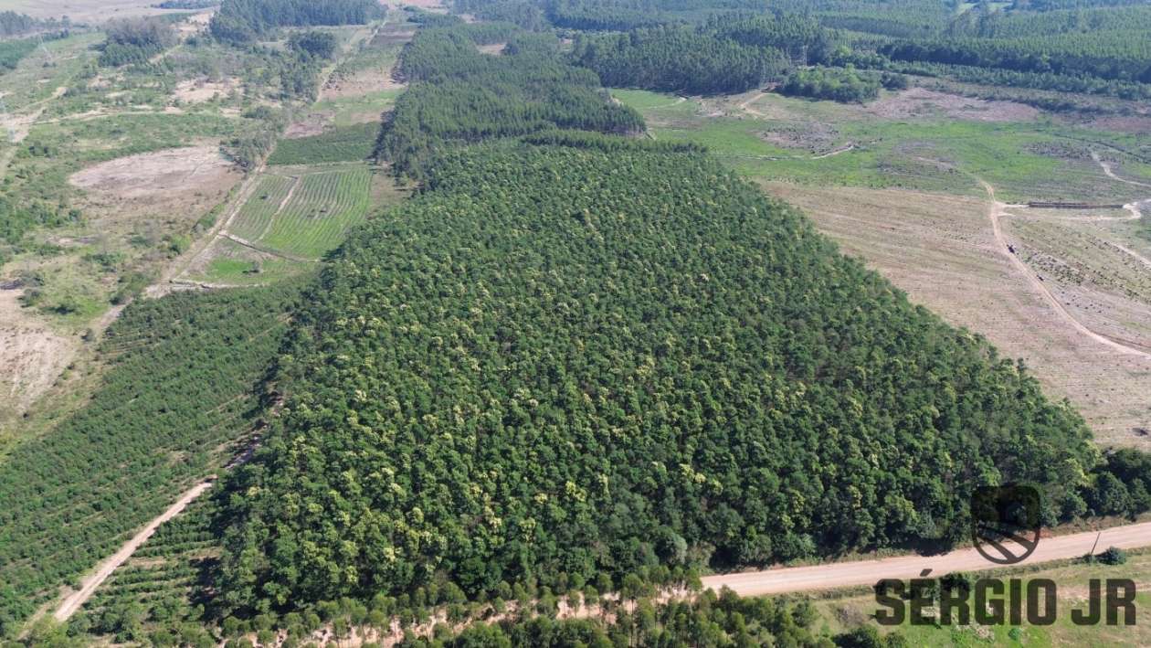 Loteamento e Condomínio, 30 hectares - Foto 21