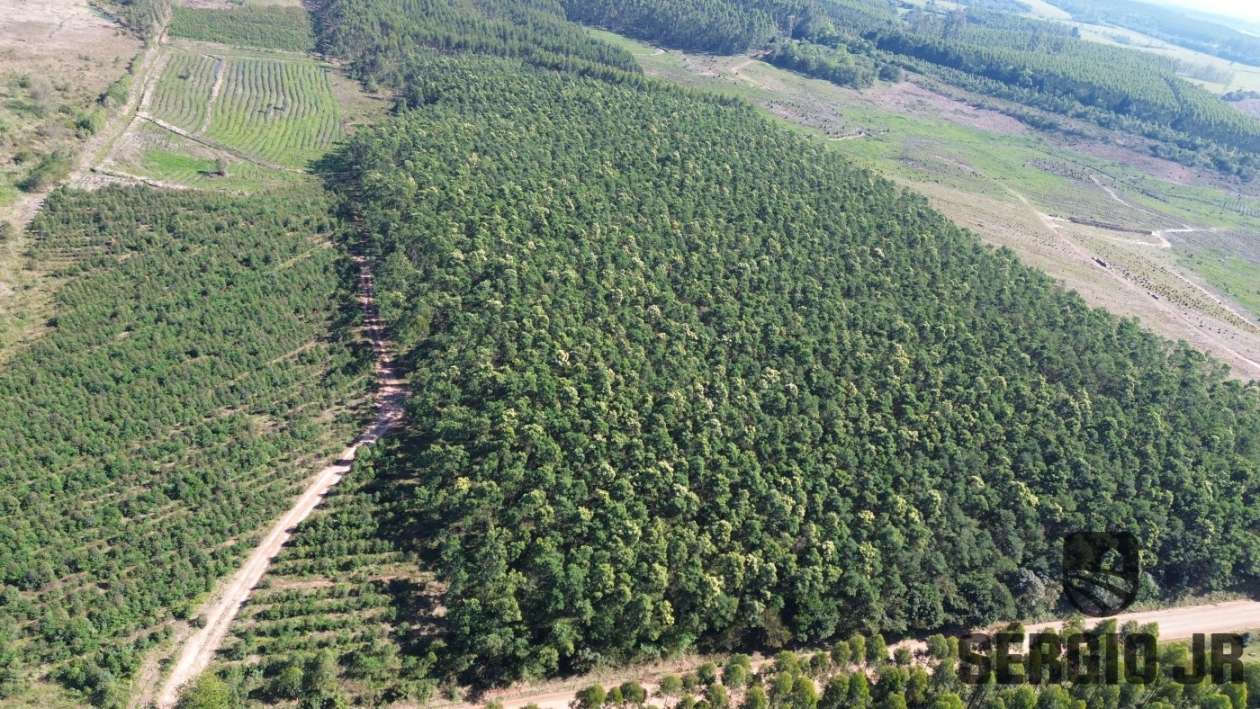 Loteamento e Condomínio, 30 hectares - Foto 23