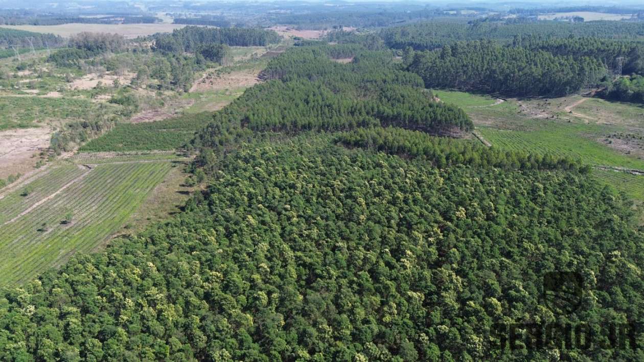 Loteamento e Condomínio, 30 hectares - Foto 24