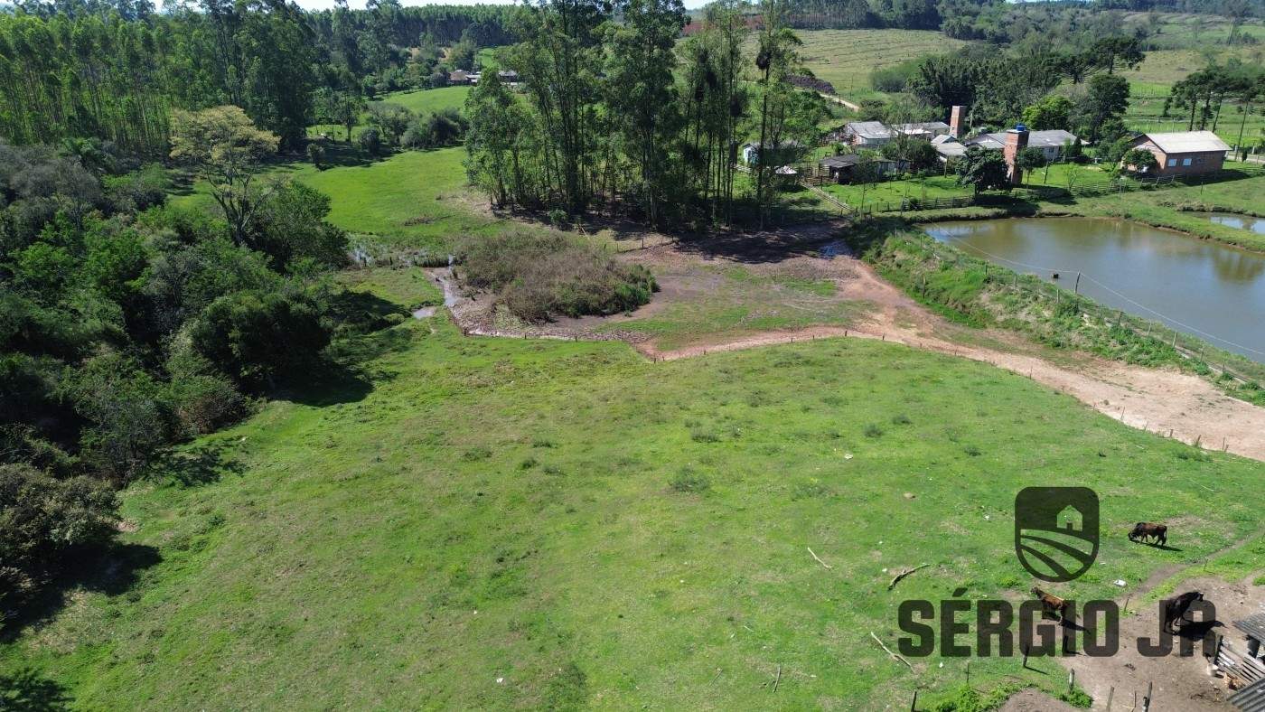 Chácara, 4 quartos, 3 hectares - Foto 4