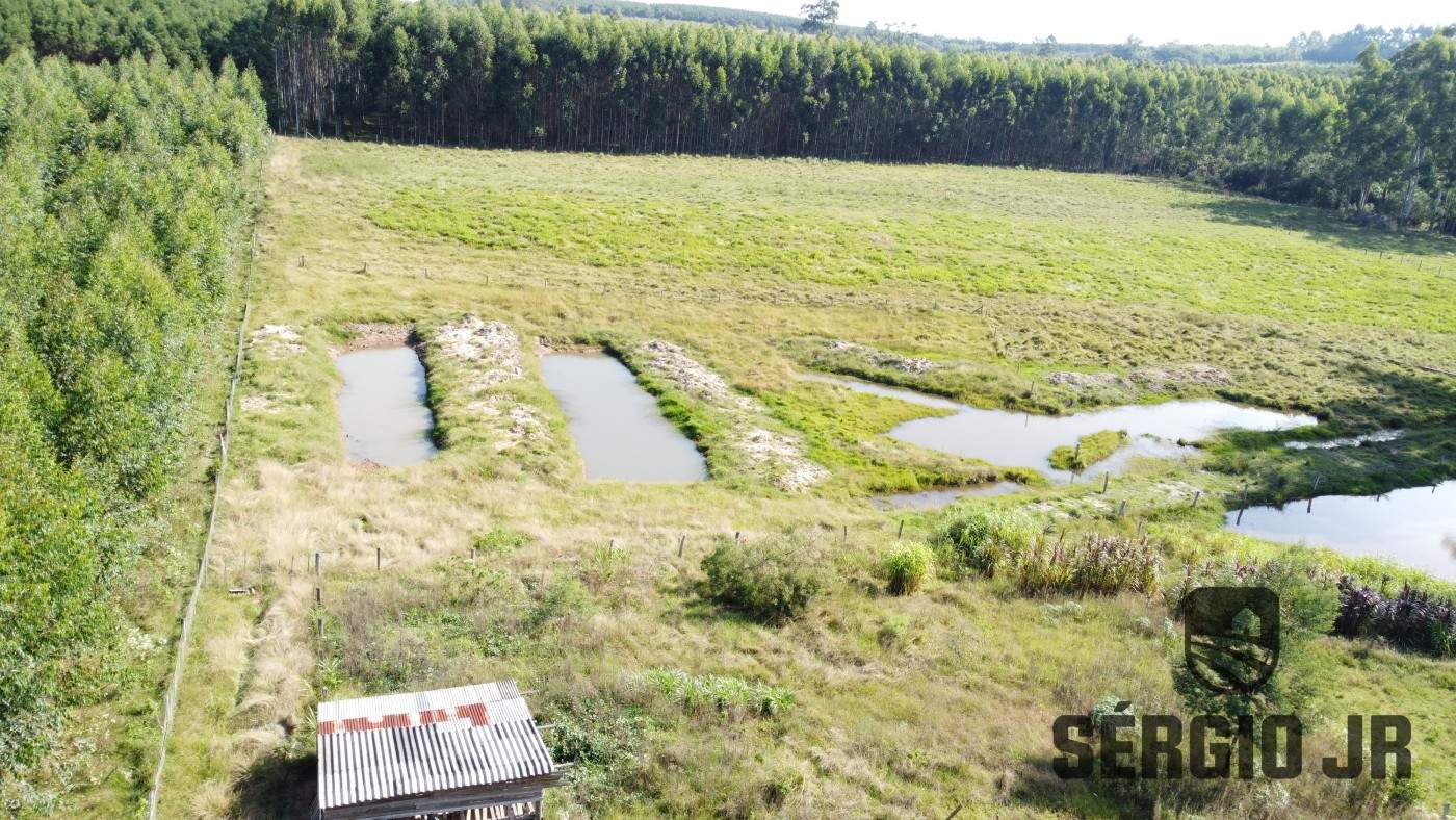 Chácara, 2 quartos, 2 hectares - Foto 3