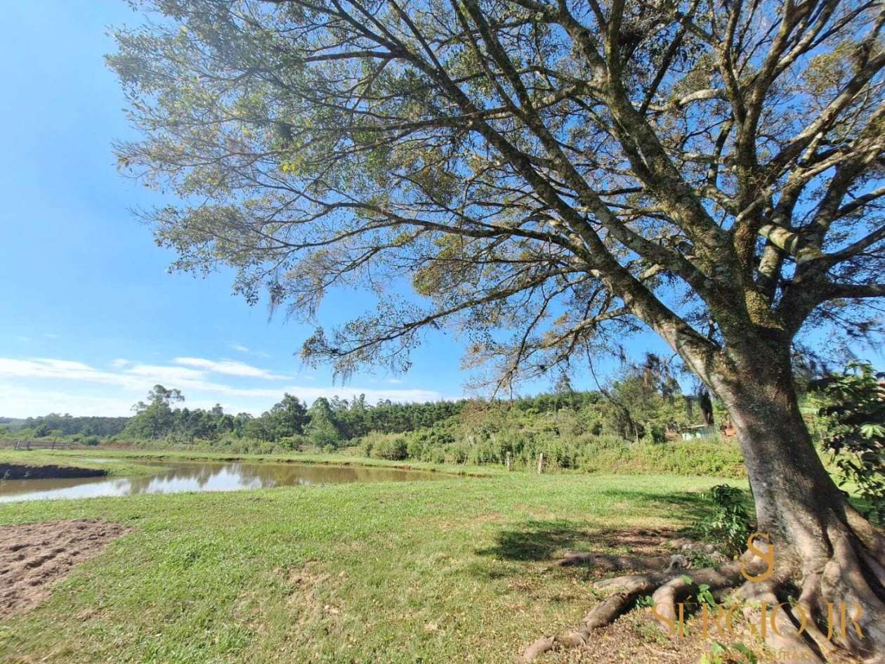 Chácara, 4 quartos, 5248 m² - Foto 10