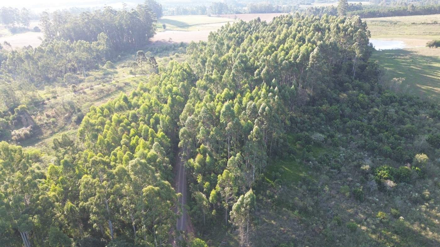 Loteamento e Condomínio, 10000 m² - Foto 3