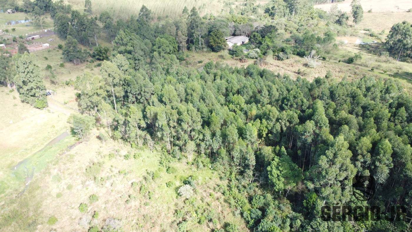 Loteamento e Condomínio, 10000 m² - Foto 7